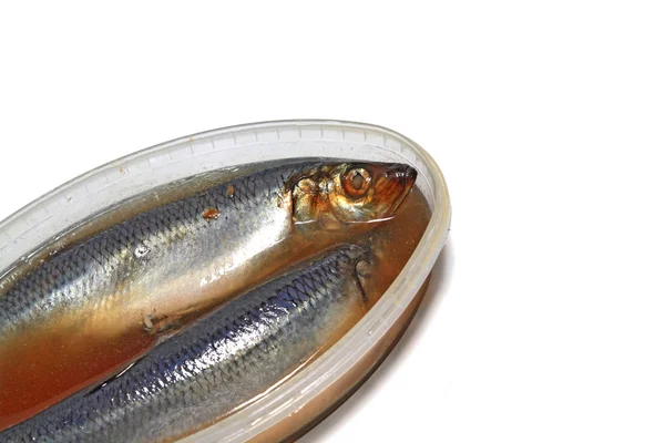 Salty herring on white background — Stock Photo, Image