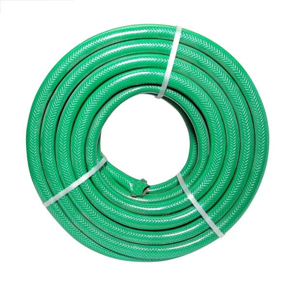 Zielony wąż na białym tle — Zdjęcie stockowe