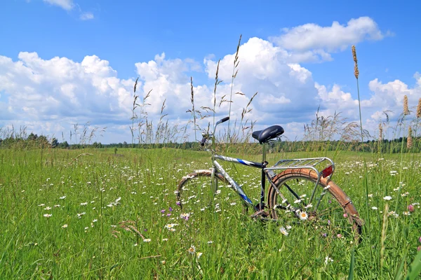 Old bicycle amongst green herb — Stock Photo, Image