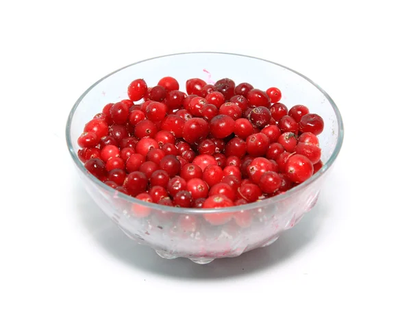 Cranberry in plaat op witte achtergrond — Stockfoto