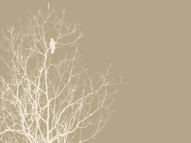 Crow on branch on brown background, vector illustration clipart