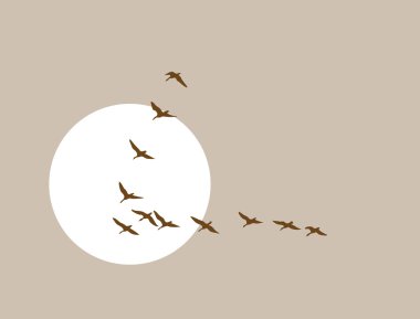 flying ducks silhouette on solar background, vector illustration clipart