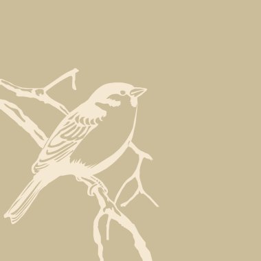 bird silhouette on old paper, vector illustration clipart