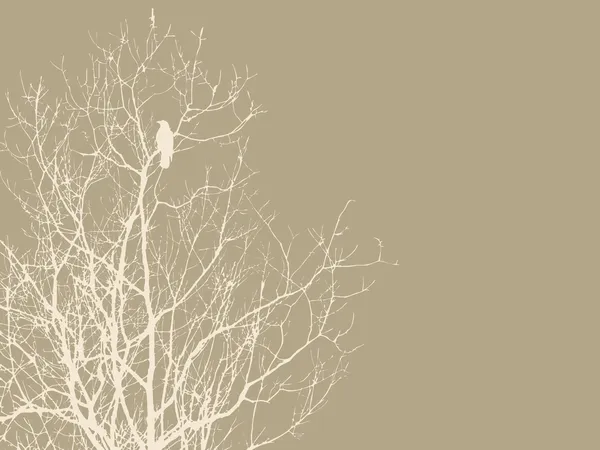 茶色の背景、ベクトル イラスト上の枝にカラス — ストックベクタ
