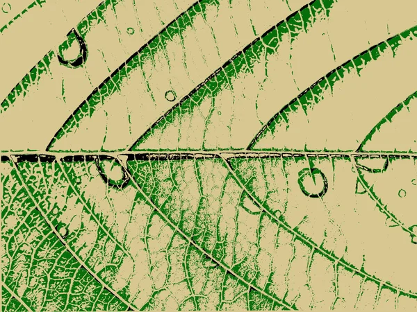 Grünes Blatt auf braunem Hintergrund, Vektorillustration — Stockvektor
