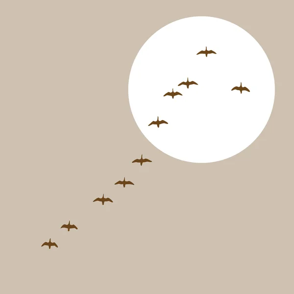 Силуэт летающих уток на солнечном фоне, векторная иллюстрация — стоковый вектор