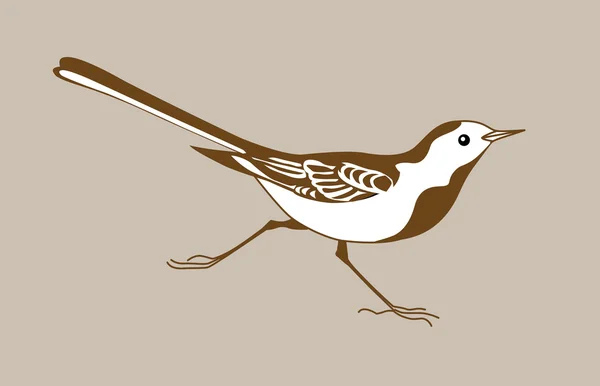 Silueta wagtail sobre fondo marrón, ilustración vectorial — Archivo Imágenes Vectoriales