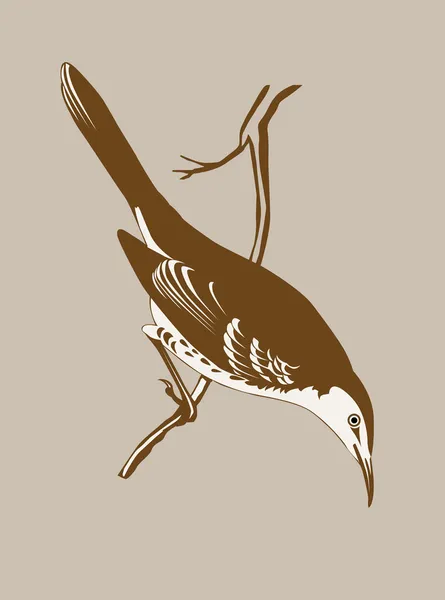 Silueta de zorzal sobre fondo marrón, ilustración vectorial — Vector de stock