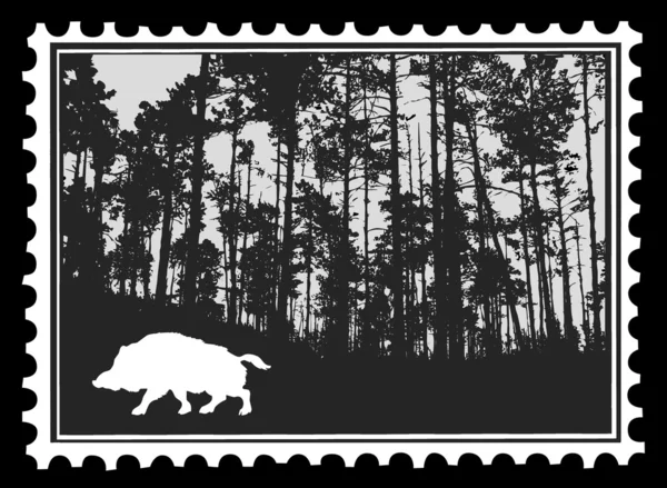 Silueta z divokého kance v lese na poštovních známkách, vektorové i — Stockový vektor
