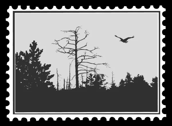Силуэт птицы на почтовых марках, векторная иллюстрация — стоковый вектор