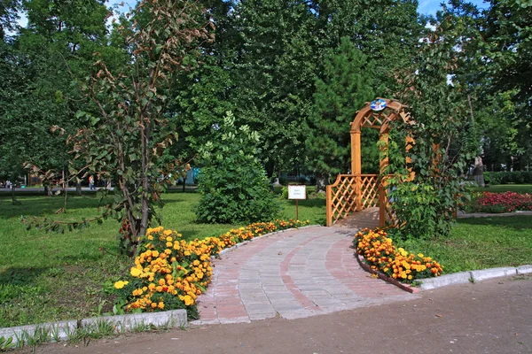 Flores de verano en el parque de la ciudad — Foto de Stock
