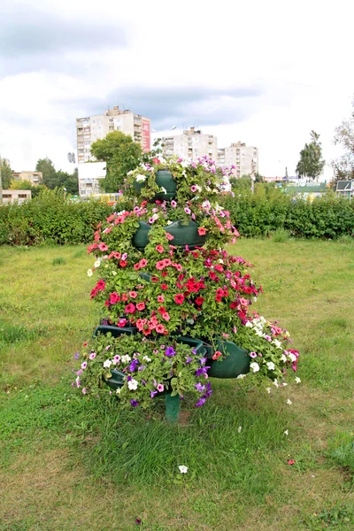 Цветы на декоративном городском газоне — стоковое фото