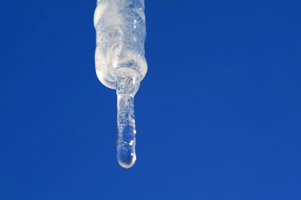 Blanching icicle on turn blue background — Stock Photo, Image