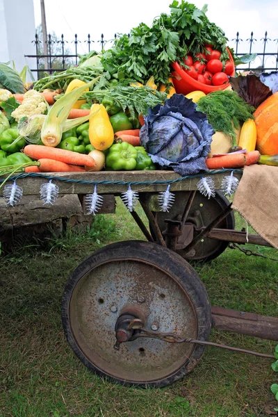 Mettre les légumes sur le marché rural — Photo