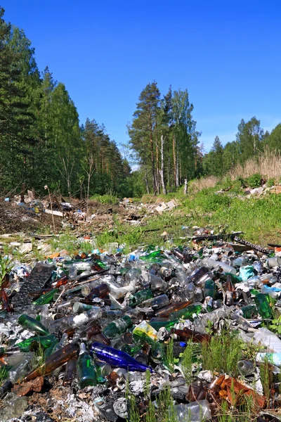 stock image Garbage pit in pine wood