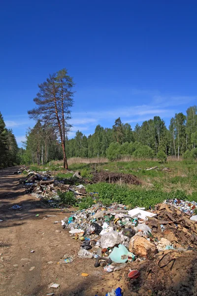 Müllgrube in Kiefernholz — Stockfoto