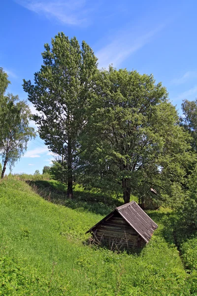 Houten huis in groen hout — Stockfoto
