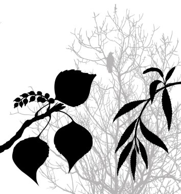 Plants silhouette on white background, vector illustration clipart