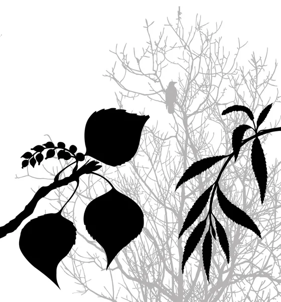 Bitkiler siluet vektör çizim beyaz zemin üzerinde — Stok Vektör