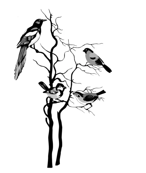 Silhouette uccelli su sfondo bianco, illustrazione vettoriale — Vettoriale Stock