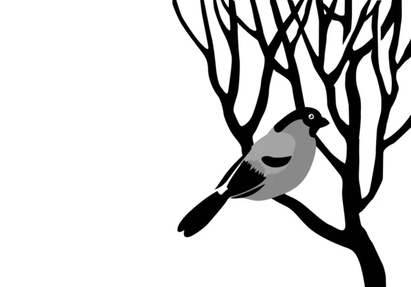 Bullfinch silhouette on wood branch, vector illustration — Stock Vector