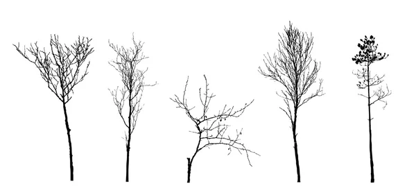 Установить силуэт дерева на белом фоне, векторная иллюстрация — стоковый вектор