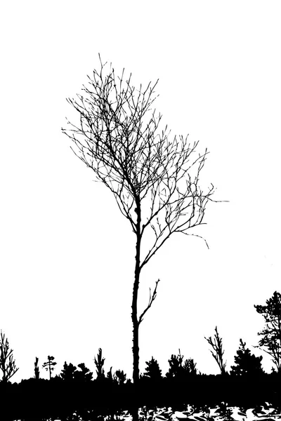 Träd silhouette på vit bakgrund, vektor illustration — Stock vektor