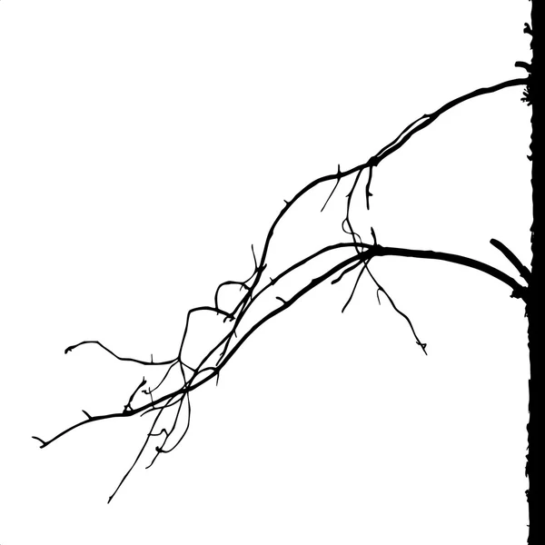 Tree silhouette on white background, vector illustration — Stock Vector