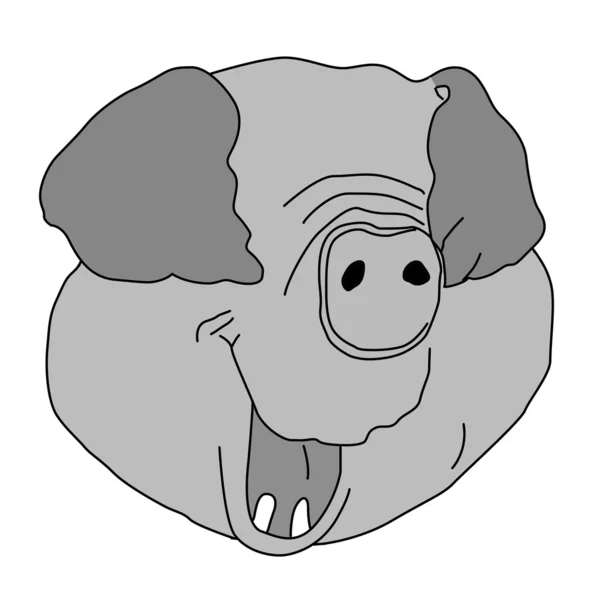 Piglet head on white background, vector illustration — Stock Vector