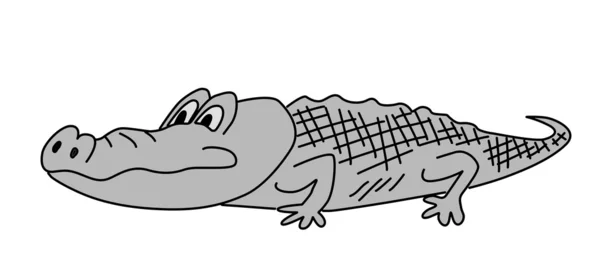 Graues Krokodil auf weißem Hintergrund, Vektorillustration — Stockvektor