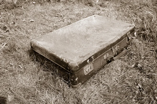 Vecchia valigetta su erba, seppia — Foto Stock
