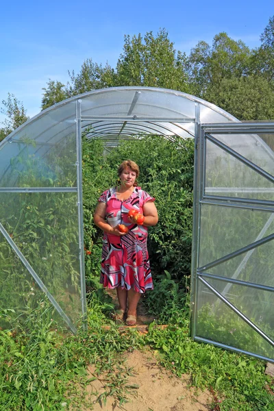 Kvinde agronomist i plast hothouse blandt tomat - Stock-foto