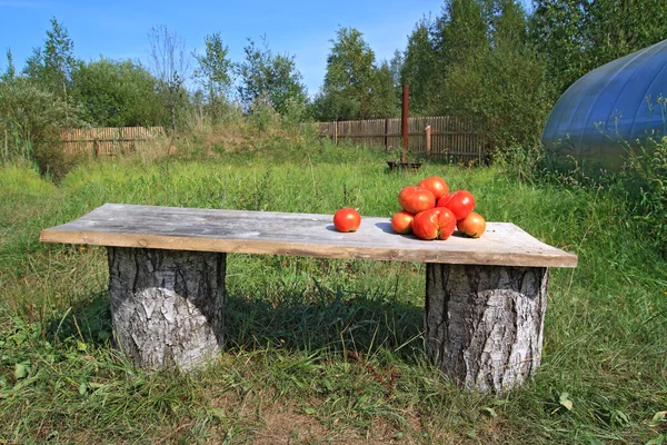 Ripe tomatoes on wooden bench — Stock Photo, Image