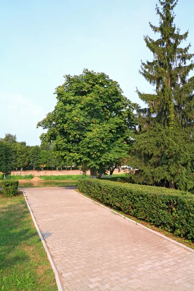 Lane i stadsparken bland träd — Stockfoto