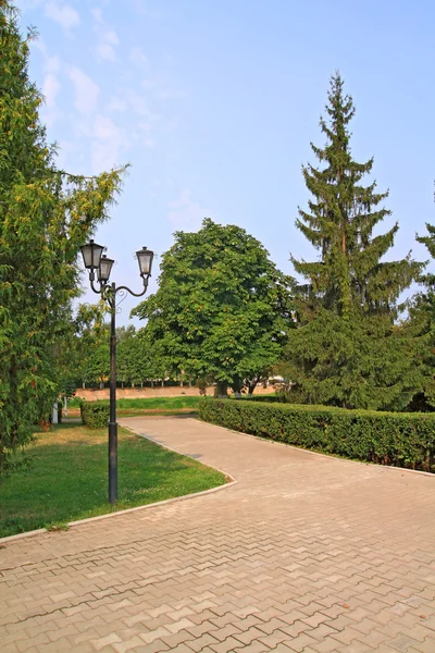 Lane in town park among tree — стоковое фото