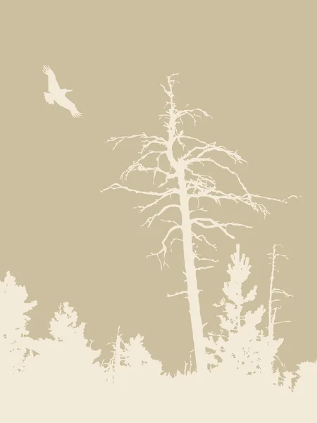 茶色の背景、ベクトル イラストに鳥シルエット — ストックベクタ