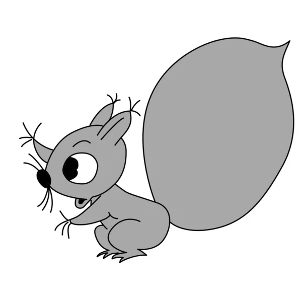 Disegno scoiattolo su sfondo bianco, illustrazione vettoriale — Vettoriale Stock