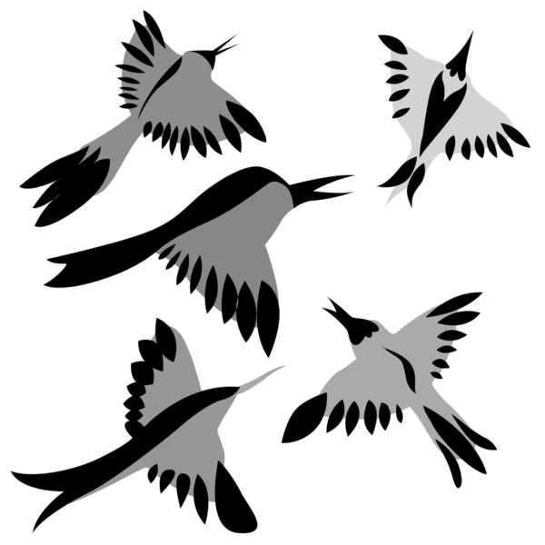Декоративные рисунки птиц на белом фоне, векторные иллюстрации — стоковый вектор