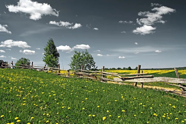 Old fence on field along road — Stock Photo, Image