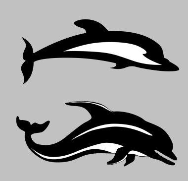 two dolphins on gray background, vector illustration clipart