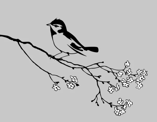 Bird silhouette on gray background, vector illustration — Stock Vector