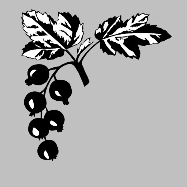 Rowanberry on gray background,, vector illustration — Stock Vector