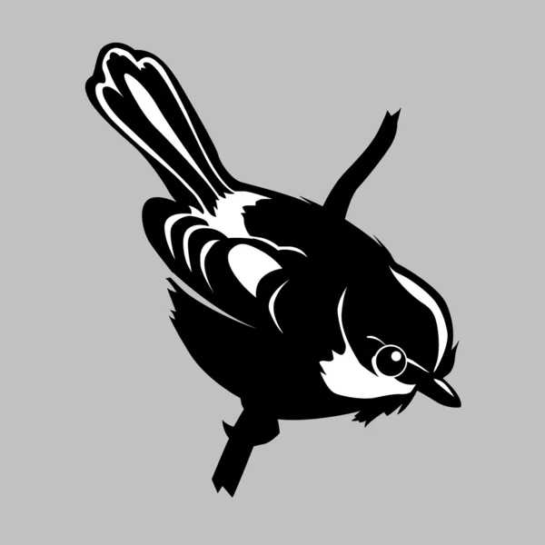 Vogelsilhouette auf grauem Hintergrund, Vektorillustration — Stockvektor