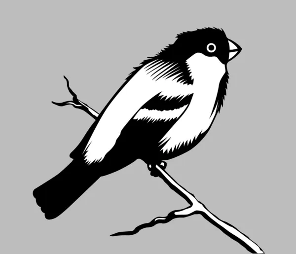 灰色の背景に鳥シルエット — ストックベクタ