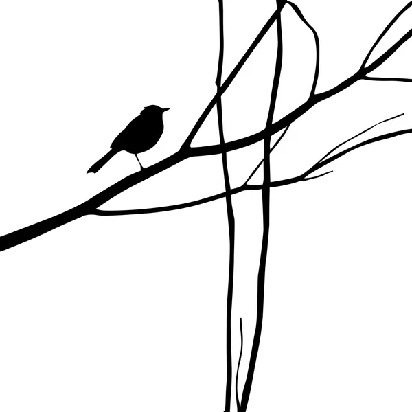 Silueta de pájaro en rama de madera, ilustración vectorial — Vector de stock