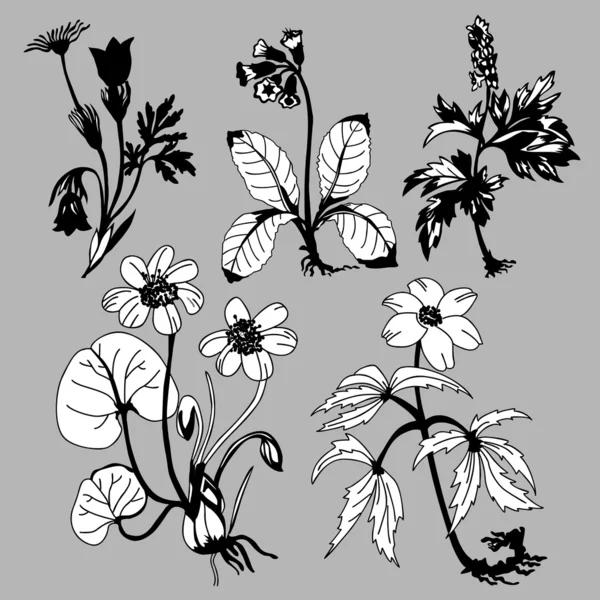 灰色の背景、ベクトル図のフィールド flowerses — ストックベクタ