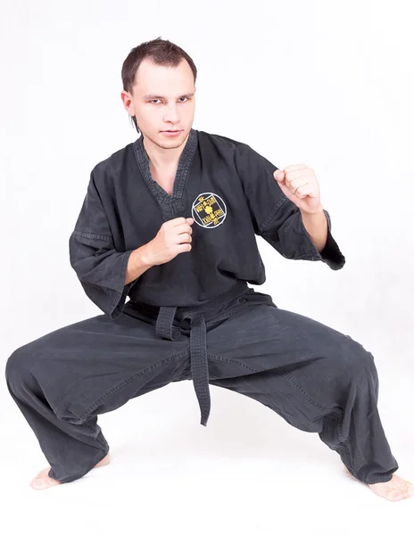 Deportista de kungfu —  Fotos de Stock