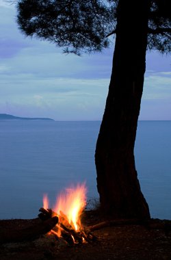 ağaç siluet ve deniz arka plan üzerinde kamp ateşi