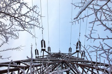 Elektrik Santrali ve ağaç dalları.