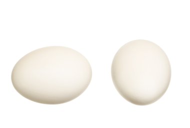 Beyaz arkaplanda izole yumurtalar